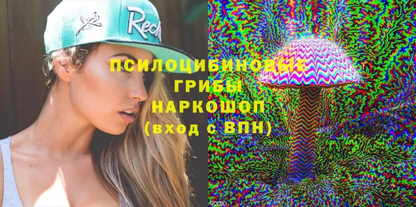 герыч Протвино