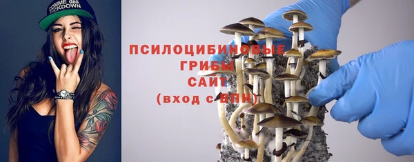 герыч Протвино
