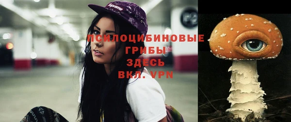 кокс Пролетарск