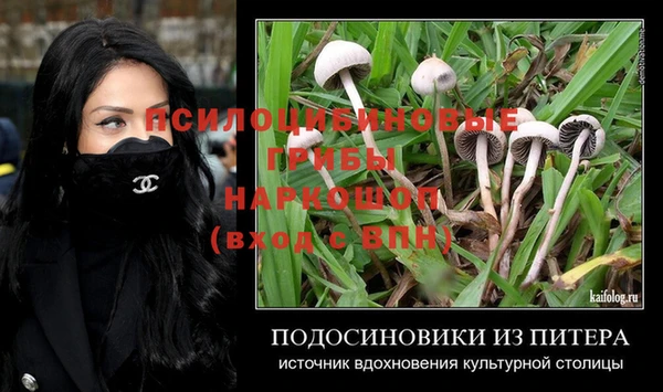 ECSTASY Приозерск