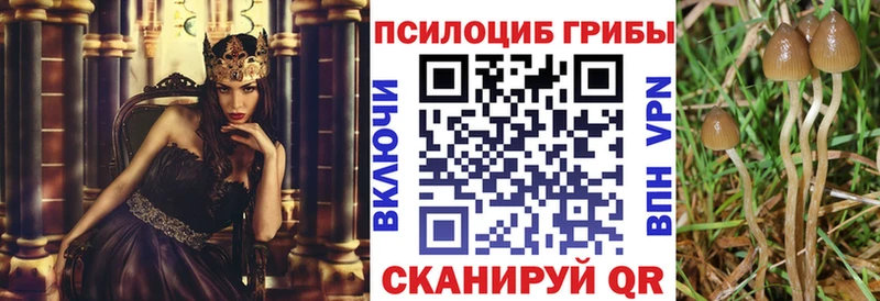 Псилоцибиновые грибы MAGIC MUSHROOMS  Купить закладки  Каспийск 